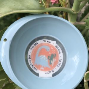 PRATO INFANTIL PLASÚTIL DECORADO DINO